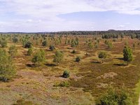 Lüneburger Heide